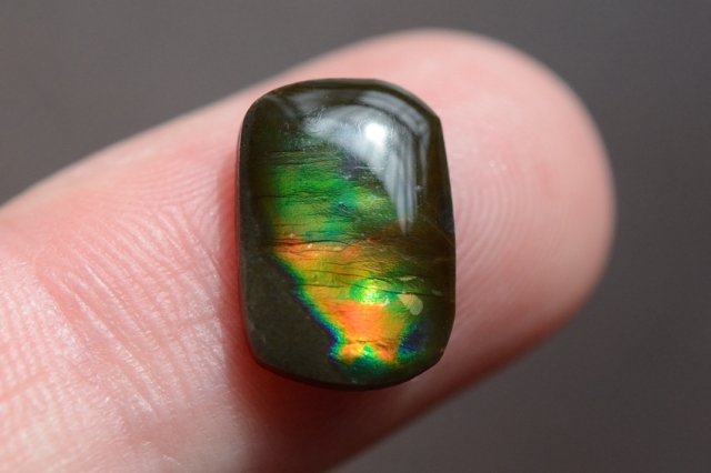 アンモライト【15】ルース・カボション