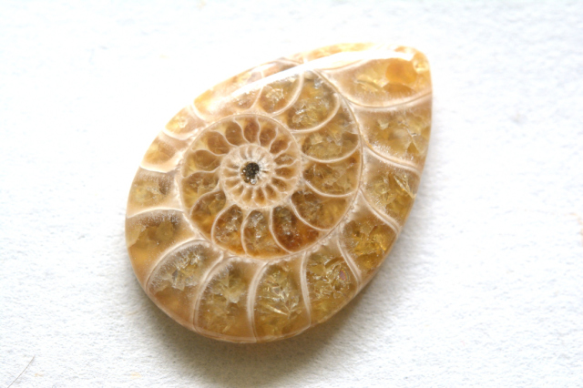 アンモナイト 化石【4】ルース・カボション（30.5×21mm）
