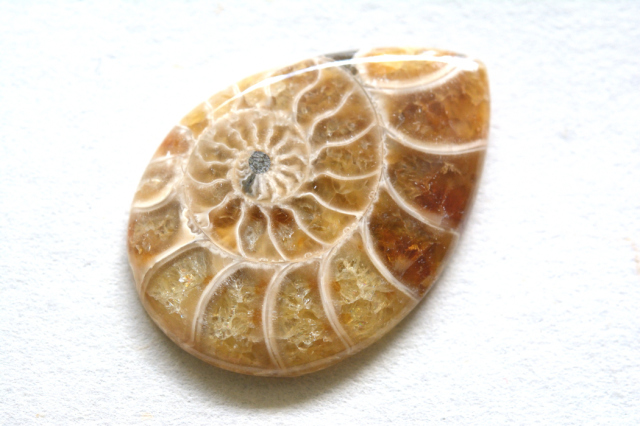 アンモナイト 化石【5】ルース・カボション（32×22.5mm）