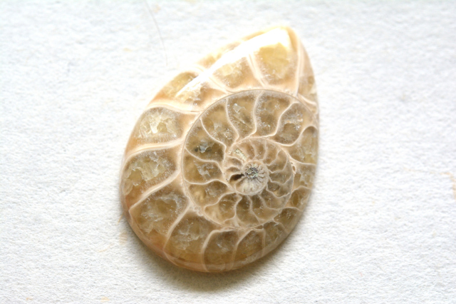 アンモナイト 化石【6】ルース・カボション（28.5×20mm）