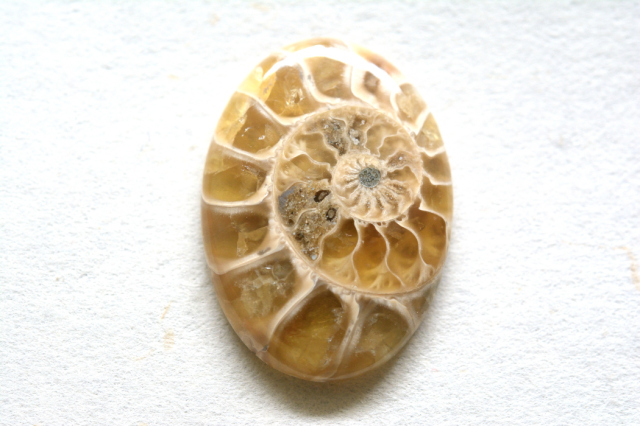 アンモナイト 化石【9】ルース・カボション（26.5×19mm）