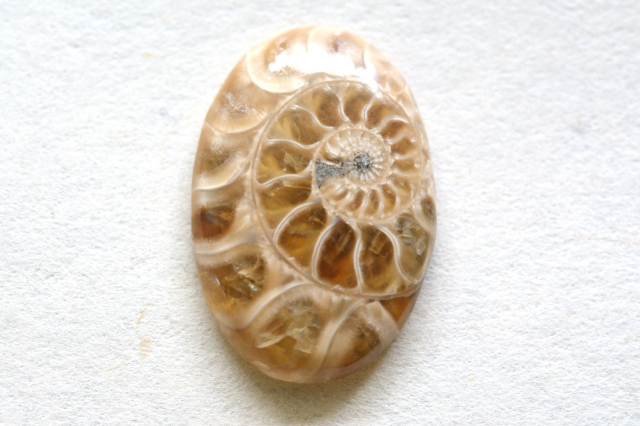 アンモナイト 化石【12】ルース・カボション（25×17mm）