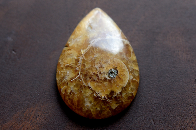 アンモナイト 化石【20】ルース・カボション（28×20mm）