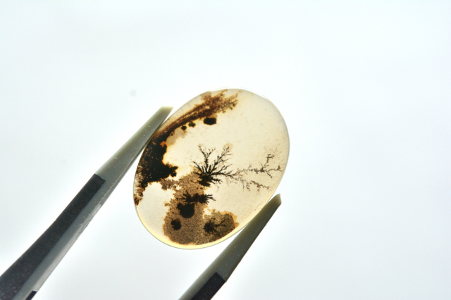 デンドリティックアゲート【12】ルース・カボション　（19.5×14.5mm）