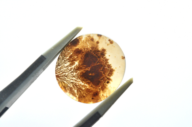 デンドリティックアゲート【14】ルース・カボション　（16.5×15.5mm）