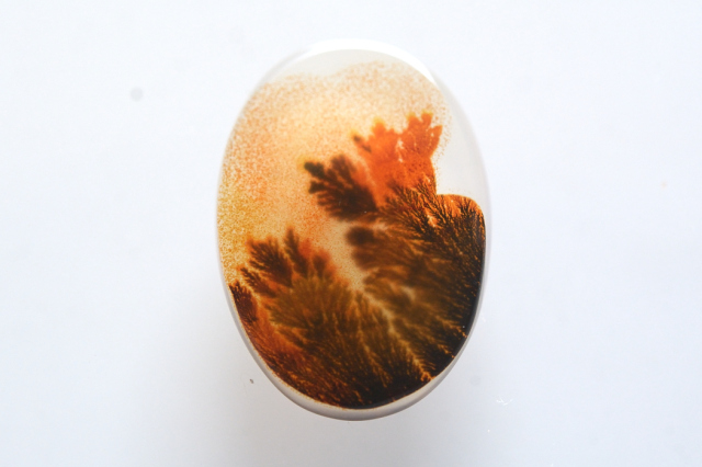 デンドリティックアゲート【15】ルース・カボション　（17×12mm）