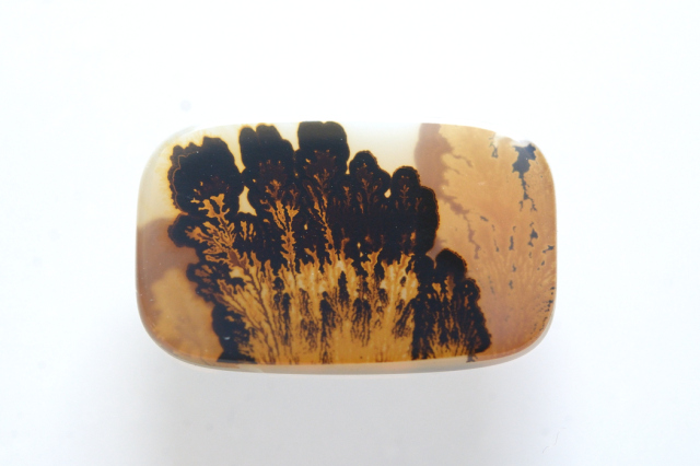 デンドリティックアゲート【17】ルース・カボション　（21×13mm）