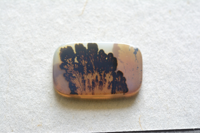 デンドリティックアゲート【17】ルース・カボション　（21×13mm）