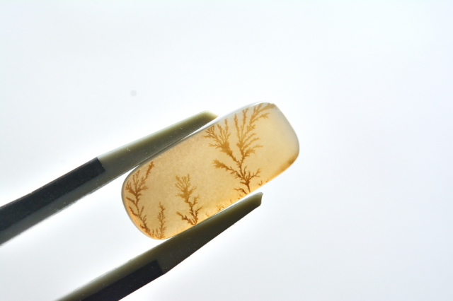 デンドリティックアゲート【18】ルース・カボション　（17×7.5mm）