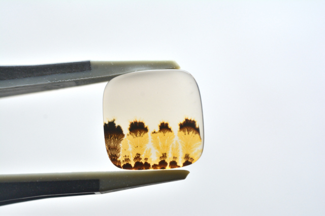 デンドリティックアゲート【19】ルース・カボション　（12.5×12.5mm）