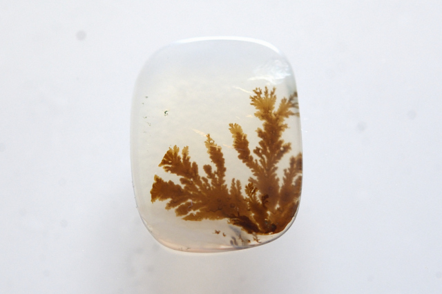 デンドリティックアゲート【20】ルース・カボション　（13×10mm）