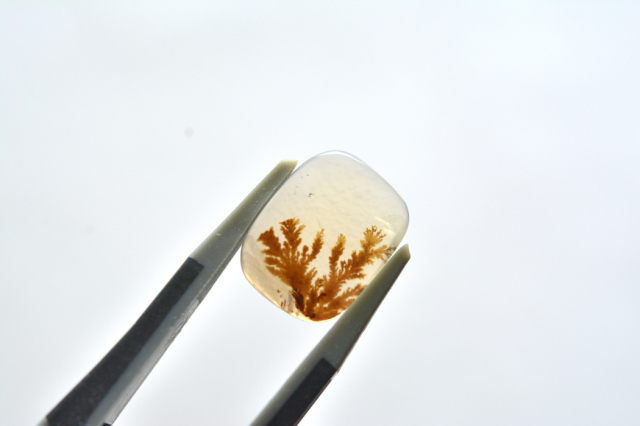 デンドリティックアゲート【20】ルース・カボション　（13×10mm）