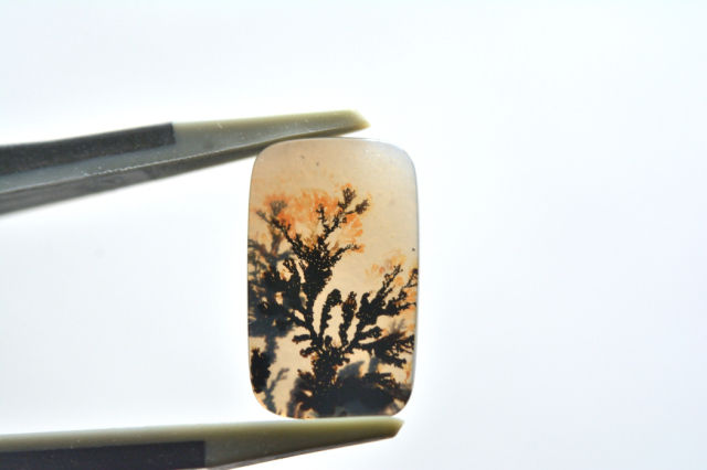 デンドリティックアゲート【21】ルース・カボション　（16.5×10mm）