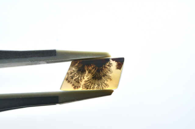デンドリティックアゲート【22】ルース・カボション　（14.5×6.5mm）