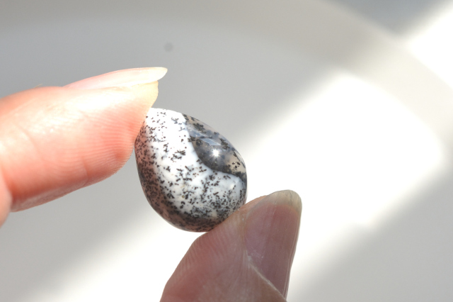 デンドライトオパール【10】ルース・カボション（16×12mm）