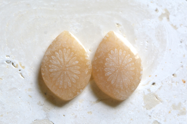 フォッシルコーラル（ペトリファイドコーラル）・ペア【50】ルース・カボション　（19.5×14mm）