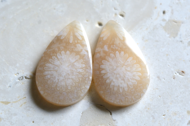 フォッシルコーラル（ペトリファイドコーラル）・ペア【52】ルース・カボション　（23×14mm）