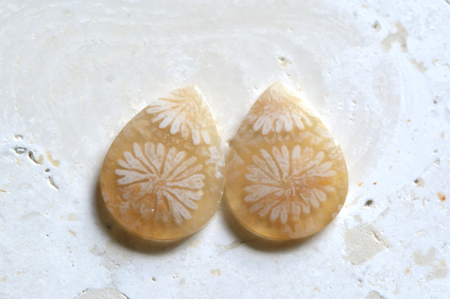 フォッシルコーラル（ペトリファイドコーラル）・ペア【54】ルース・カボション　（18.5×14mm）