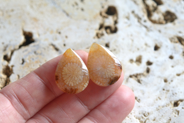 白妙◆パープルフォッシルコーラル フォシルコーラル - Tuwa Earth Crafts