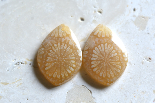 フォッシルコーラル（ペトリファイドコーラル）・ペア　穴あき【61】ルース・カボション　（19.5×14mm）