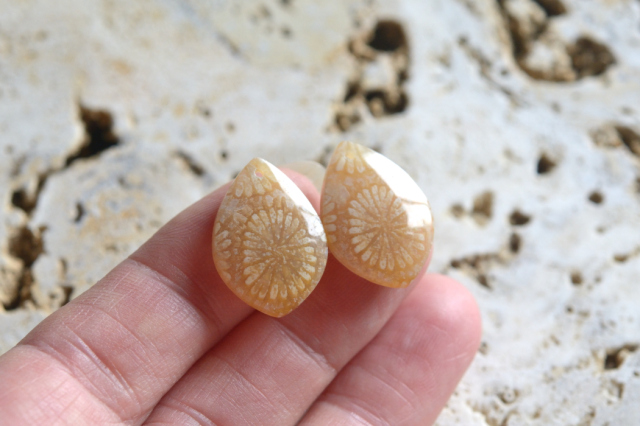フォッシルコーラル（ペトリファイドコーラル）・ペア　穴あき【61】ルース・カボション　（19.5×14mm）