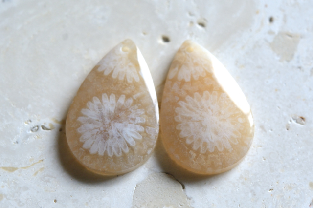 フォッシルコーラル（ペトリファイドコーラル）・ペア　穴あき【62】ルース・カボション　（21.5×14mm）