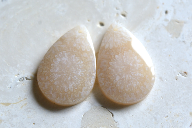 フォッシルコーラル（ペトリファイドコーラル）・ペア　穴あき【63】ルース・カボション　（21.5×14.5mm）
