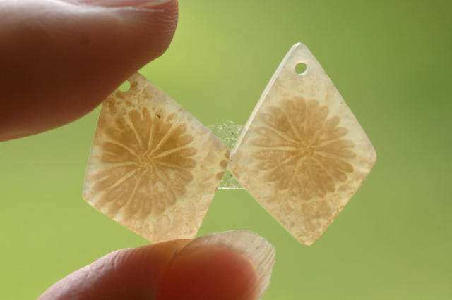 フォッシルコーラル（ペトリファイドコーラル）・ペア　穴あき【66】ルース・カボション　（18.5×13.5mm）