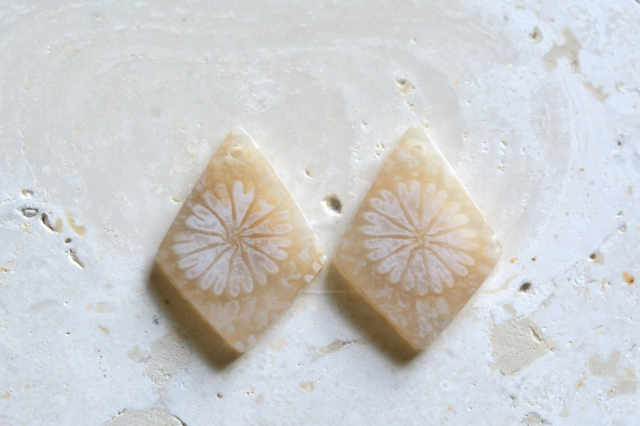 フォッシルコーラル（ペトリファイドコーラル）・ペア　穴あき【66】ルース・カボション　（18.5×13.5mm）