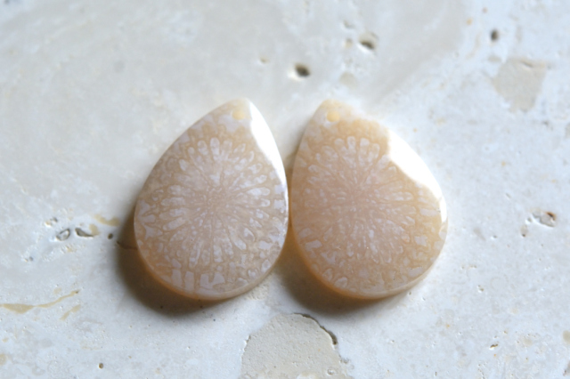 フォッシルコーラル（ペトリファイドコーラル）・ペア　穴あき【68】ルース・カボション　（17.5×12.5mm）