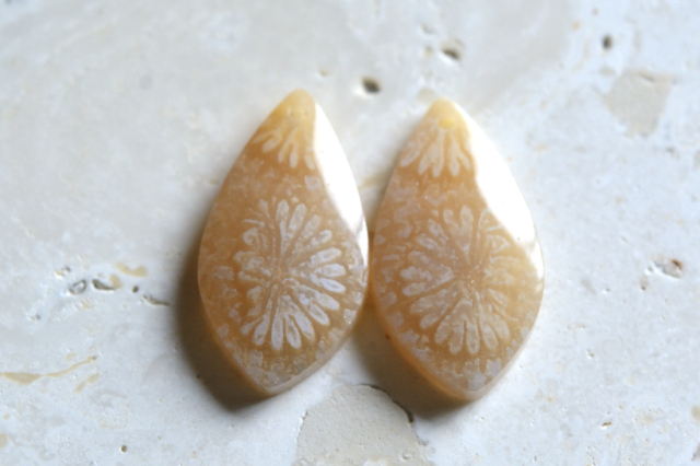 フォッシルコーラル（ペトリファイドコーラル）・ペア　穴あき【69】ルース・カボション　（21.5×11.5mm）