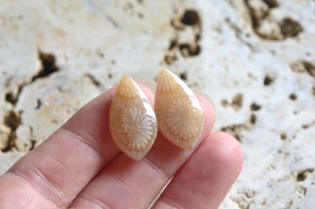 フォッシルコーラル（ペトリファイドコーラル）・ペア　穴あき【69】ルース・カボション　（21.5×11.5mm）