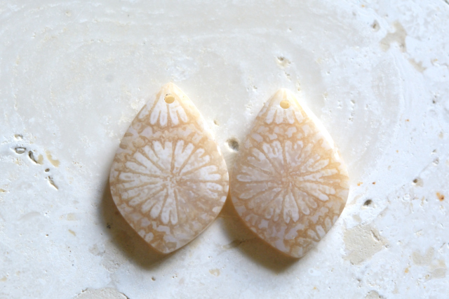 フォッシルコーラル（ペトリファイドコーラル）・ペア　穴あき【70】ルース・カボション　（19.5×13.5mm）