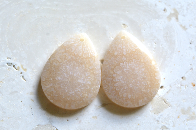 フォッシルコーラル（ペトリファイドコーラル）・ペア　穴あき【73】ルース・カボション　（21×15.5mm）
