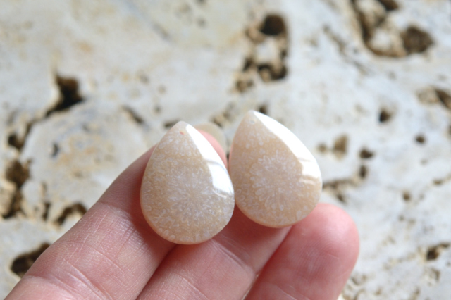 フォッシルコーラル（ペトリファイドコーラル）・ペア　穴あき【73】ルース・カボション　（21×15.5mm）