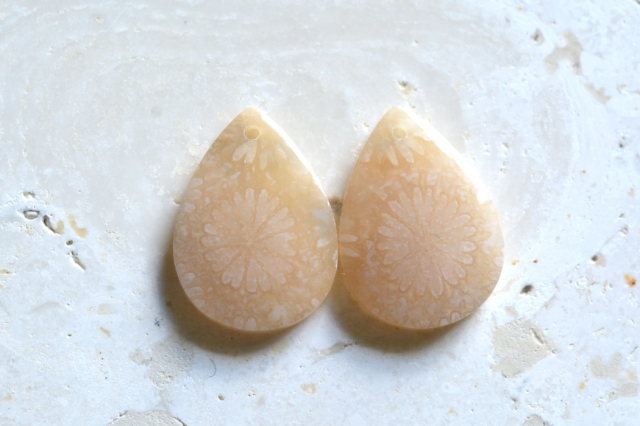 フォッシルコーラル（ペトリファイドコーラル）・ペア　穴あき【74】ルース・カボション　（18.5×13.5mm）