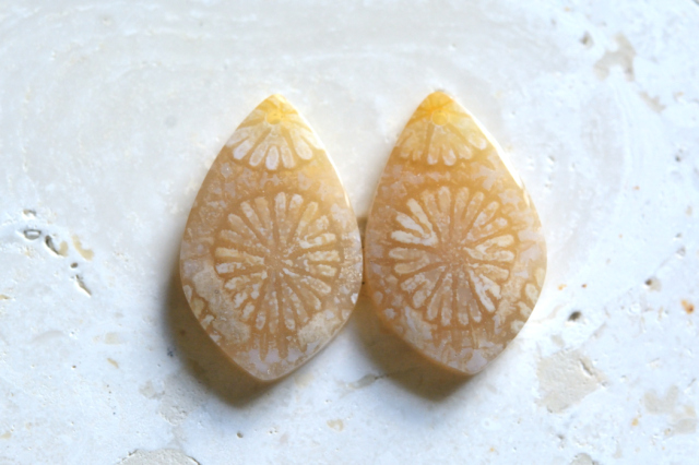 フォッシルコーラル（ペトリファイドコーラル）・ペア　穴あき【75】ルース・カボション　（21.5×13.5mm）