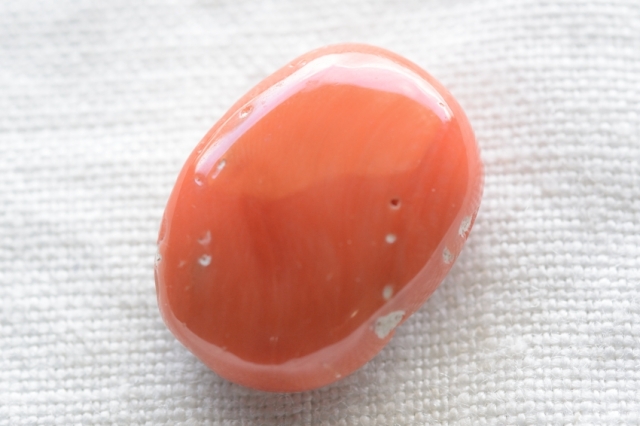 天然赤珊瑚【8】ルース・カボション　（20.5×15.5mm）