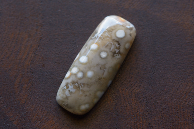 オーシャンジャスパー【44】　ルース・カボション（23.5×9.5mm）