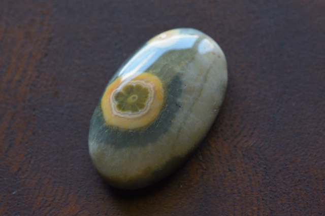 オーシャンジャスパー【62】　ルース・カボション（19.5×12mm）