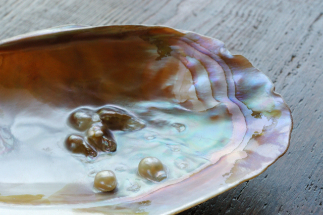 パールシェル 磨き皿