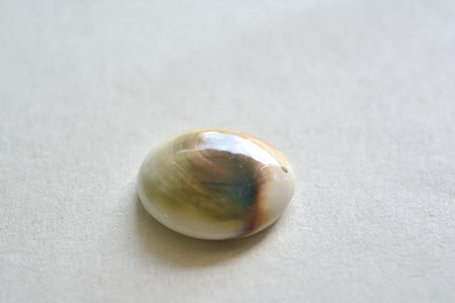シヴァアイ（穴あき）【1】ルース・カボション（25.5×24mm）