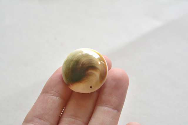 シヴァアイ（穴あき）【1】ルース・カボション（25.5×24mm）