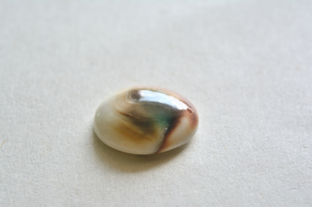 シヴァアイ（穴あき）【3】ルース・カボション（25×21.5mm）