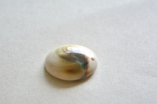 シヴァアイ（穴あき）【6】ルース・カボション（25×22.5mm）