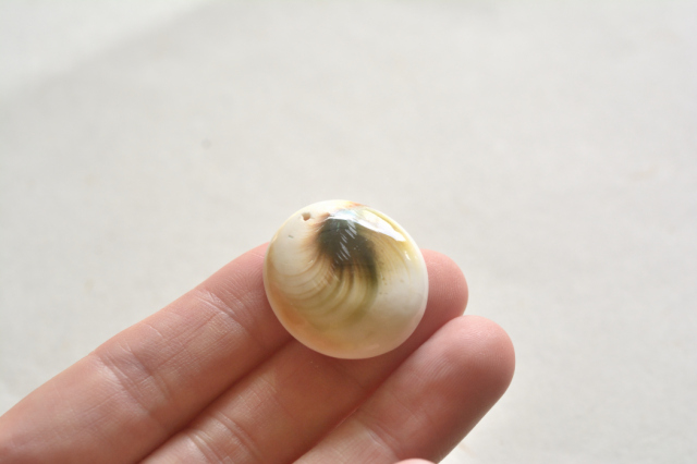 シヴァアイ（穴あき）【6】ルース・カボション（25×22.5mm）