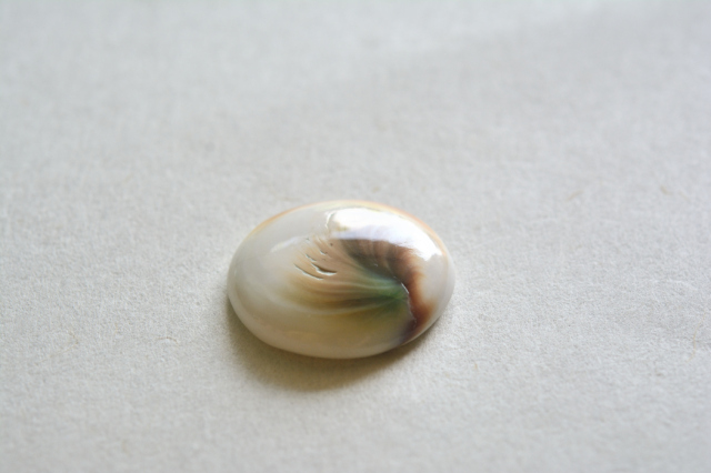 シヴァアイ【8】ルース・カボション（23.5×22mm）