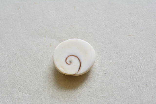 シヴァアイ【8】ルース・カボション（23.5×22mm）