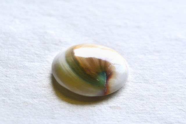 シヴァアイ【9】ルース・カボション（23×21mm）