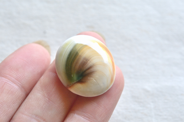 シヴァアイ【9】ルース・カボション（23×21mm）
